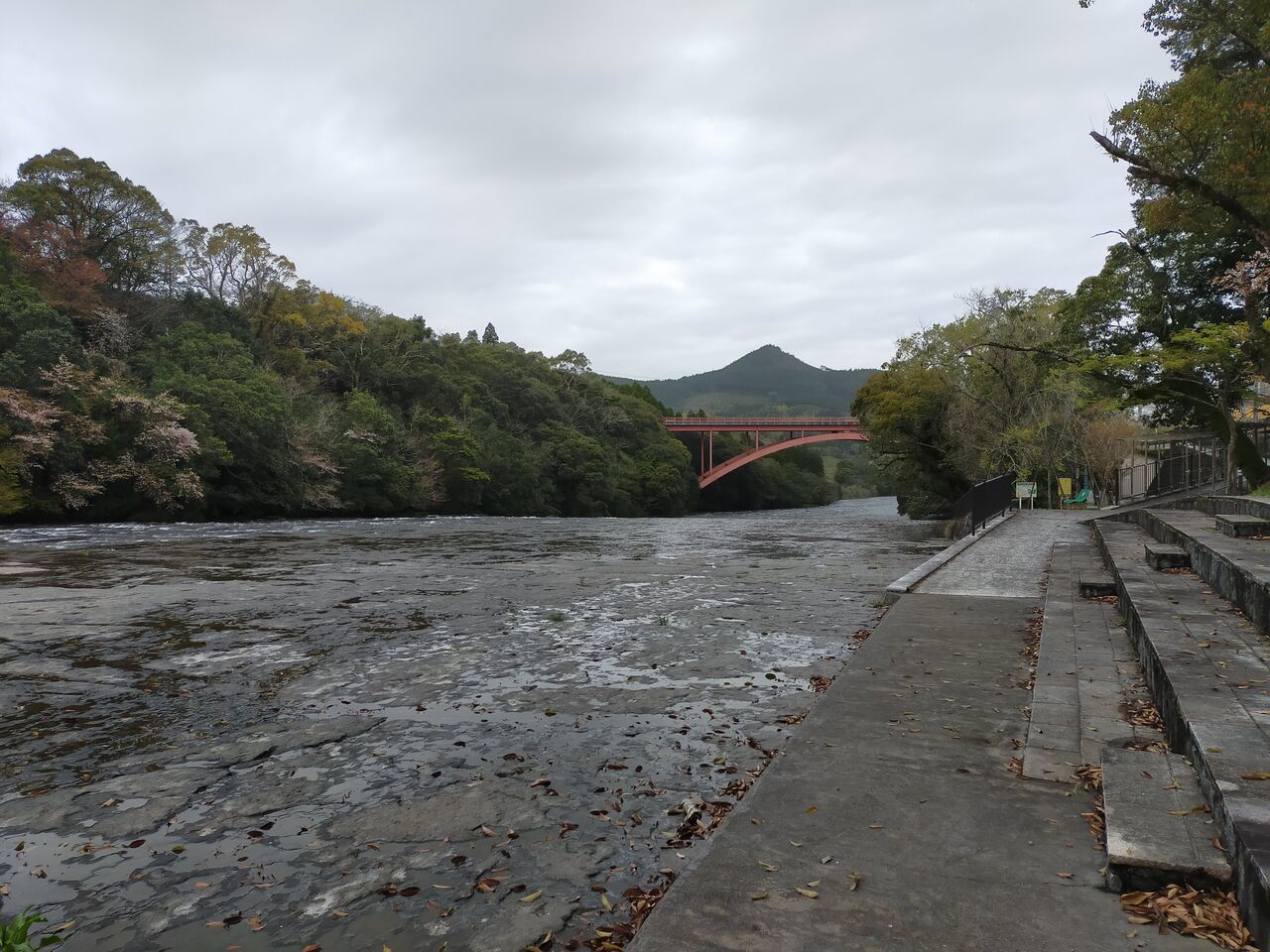 21 3 17 水 花瀬公園 鹿児島県 ウシ子とウシ夫の牛歩旅