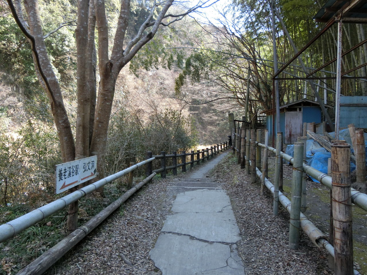 18 2 17 土 出世観音 養老山 立国寺 千葉県 ウシ子とウシ夫の牛歩旅