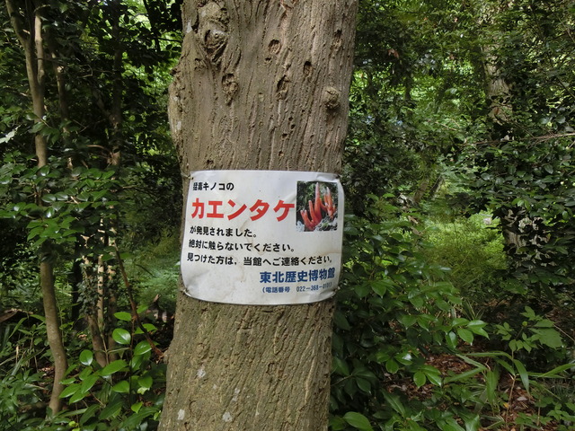20190719_152458_CIMG4698