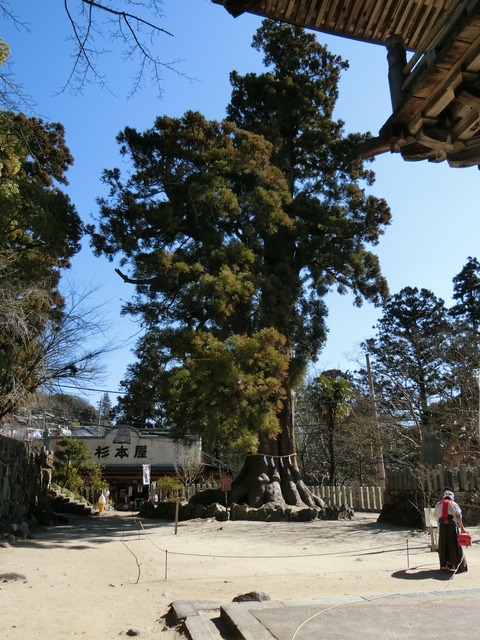 CIMG0343