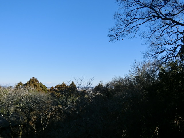 20190103_095105_CIMG5301