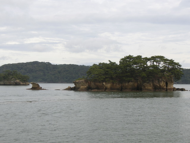 20190719_102225_CIMG4601