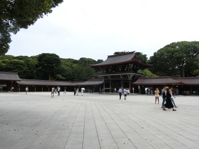 20190903_125244_CIMG5072