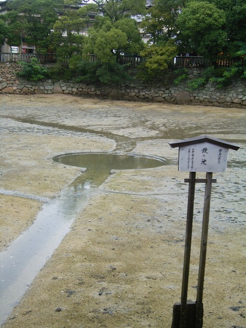 20090726_092804_RIMG0263