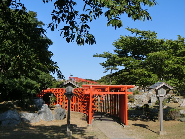 20190716_162919_CIMG3980