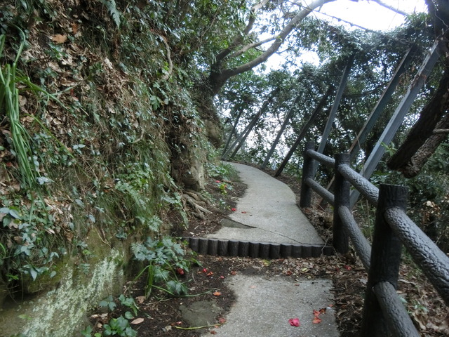 20200222_162208_CIMG8788
