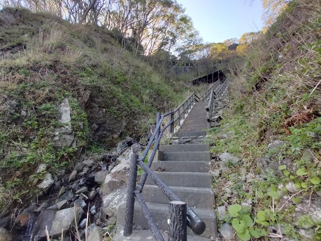 IMG20230409085932