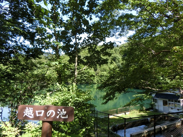20190716_083647_CIMG3755