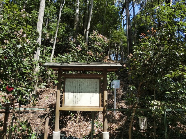 20190413_132532_CIMG8285
