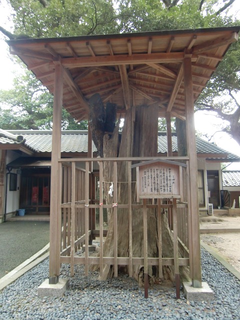 20130331_090030_CIMG1501