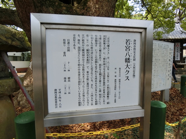 20190505_104327_CIMG1325