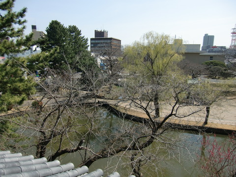 20170325_113218_CIMG6765