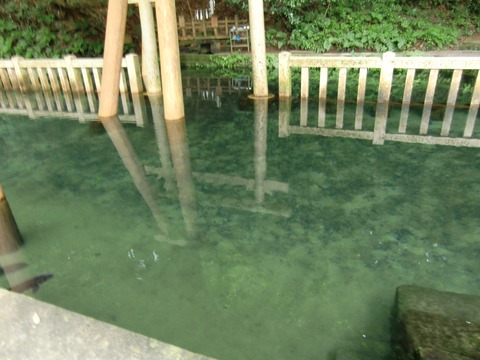 20120722_141027_CIMG1074