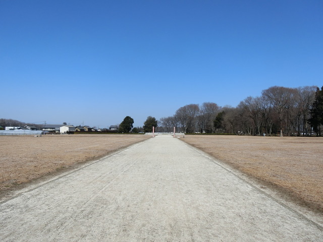 20190224_115039_CIMG7058
