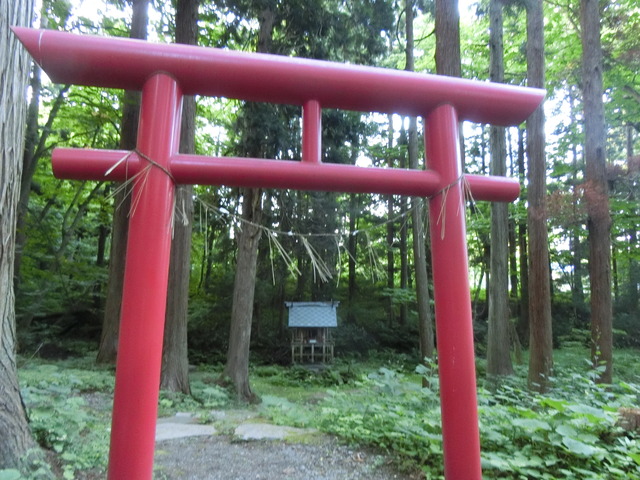 20190716_175600_CIMG4012