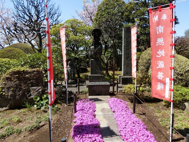 20190413_111530_CIMG8198