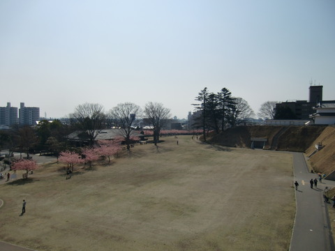 20170320_101023_CIMG6613