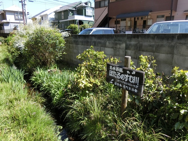 20190413_133130_CIMG8301
