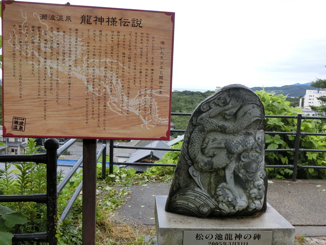20190712_102324_CIMG2451