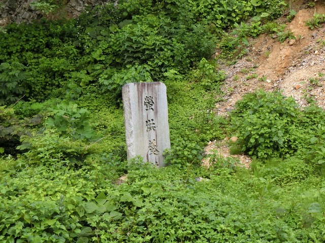 20190711_064749_CIMG1947