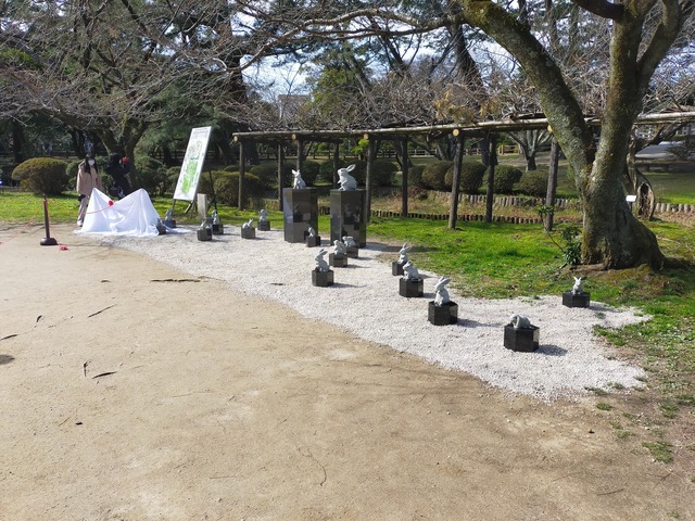IMG20210311095509