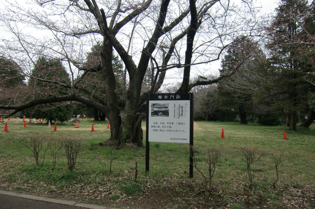 20170401_142631_CIMG7603