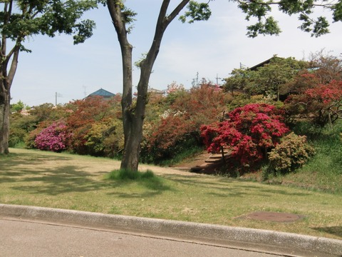 20110515_124107_CIMG0570