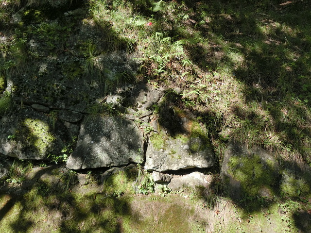 20190915_091343_CIMG5476