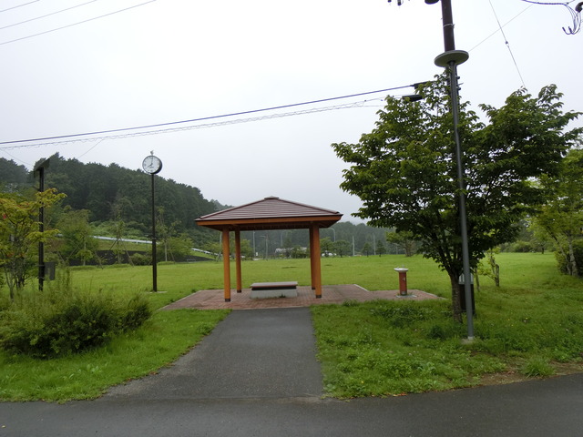 20190719_080851_CIMG4551