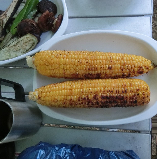 20180728_175351_CIMG1486