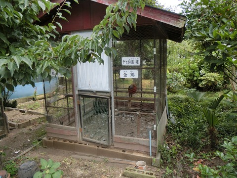 CIMG2991