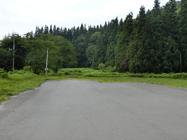 20190711_070046_CIMG1971