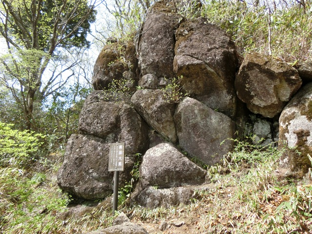 CIMG0092 (1)