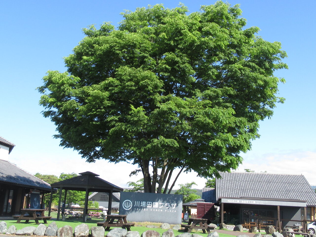 21 5 22 土 道の駅川場田園プラザe車中泊 群馬県 ウシ子とウシ夫の牛歩旅 21 5 22 土 道の駅川場田園プラザe車中泊 群馬県 ウシ子とウシ夫の牛歩旅