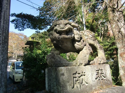 20161029_123534_CIMG0943