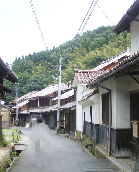 20090731_113436_RIMG0305