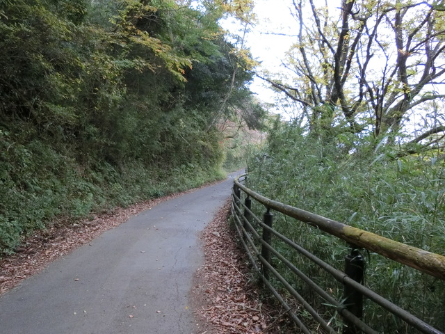 20181103_095513_CIMG3315