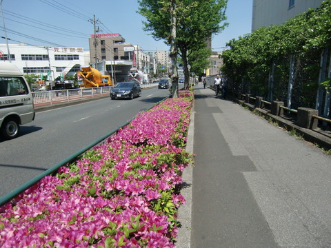20130427_122353_CIMG1594