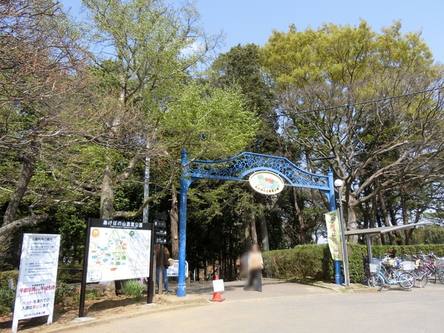 20180401_130914_CIMG8766