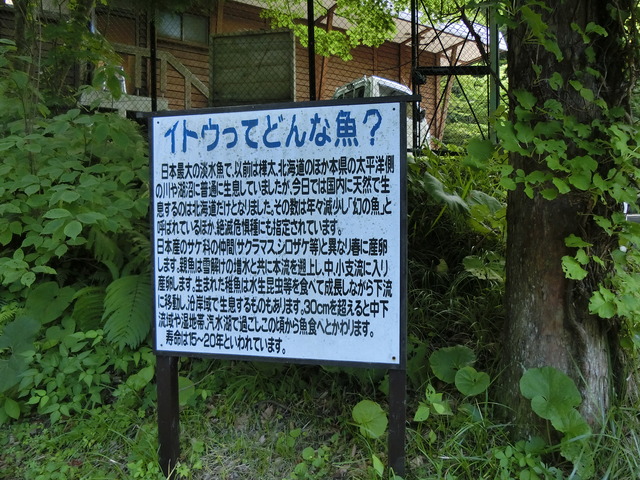 20190716_100509_CIMG3828