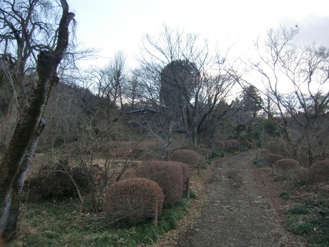 20170121_134109_CIMG3744