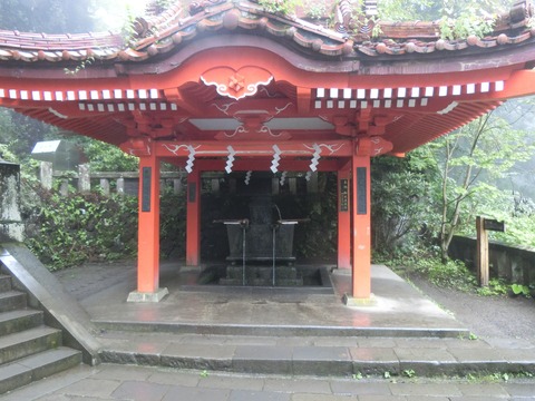CIMG2604