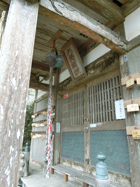 CIMG0247