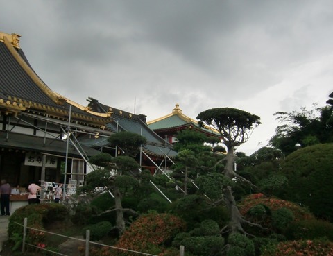 20130615_114320_CIMG1734