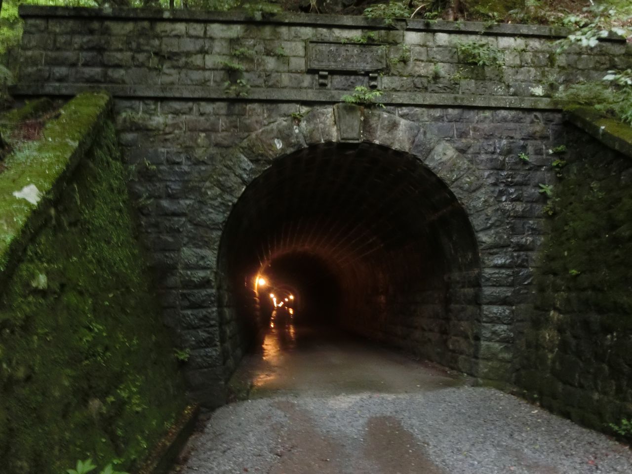 16 9 18 日 旧天城トンネル 静岡県 ウシ子とウシ夫の牛歩旅