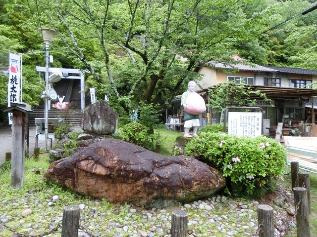 20190501_165530_CIMG0299