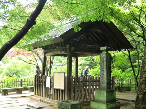 20130616_101450_CIMG1767