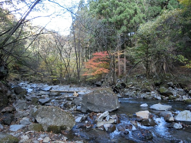 20191110_110137_CIMG7202