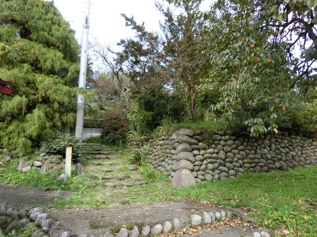 20191020_113243_CIMG6414