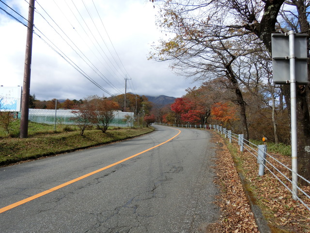20191110_113126_CIMG7215